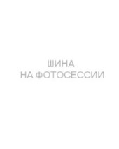 Шины Hankook 255/40 r19 Winter I Cept Evo4 W340 100V